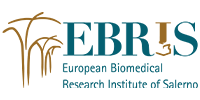 ebris logo